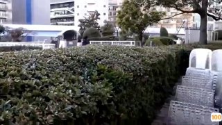 [短视频区] 第一次发  求通过